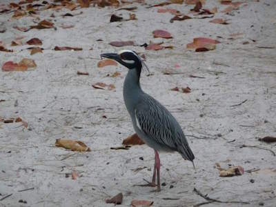 Spanish River Park in Boca Raton