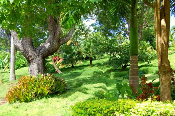 Sunnyside Garden in Grenada