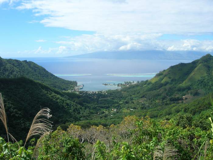 Tahiti Island