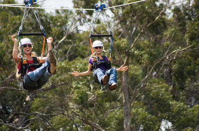 Zipline Tours in Maui